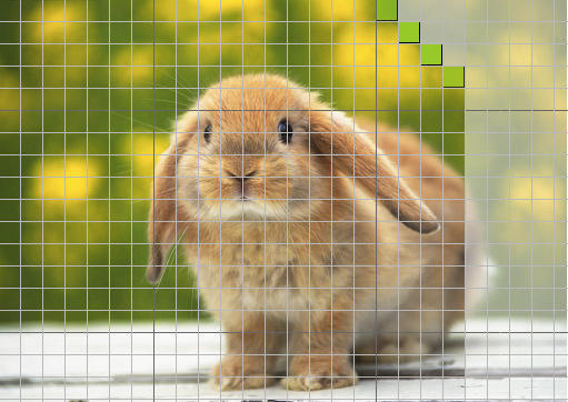 编码基本原理图1